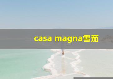 casa magna雪茄